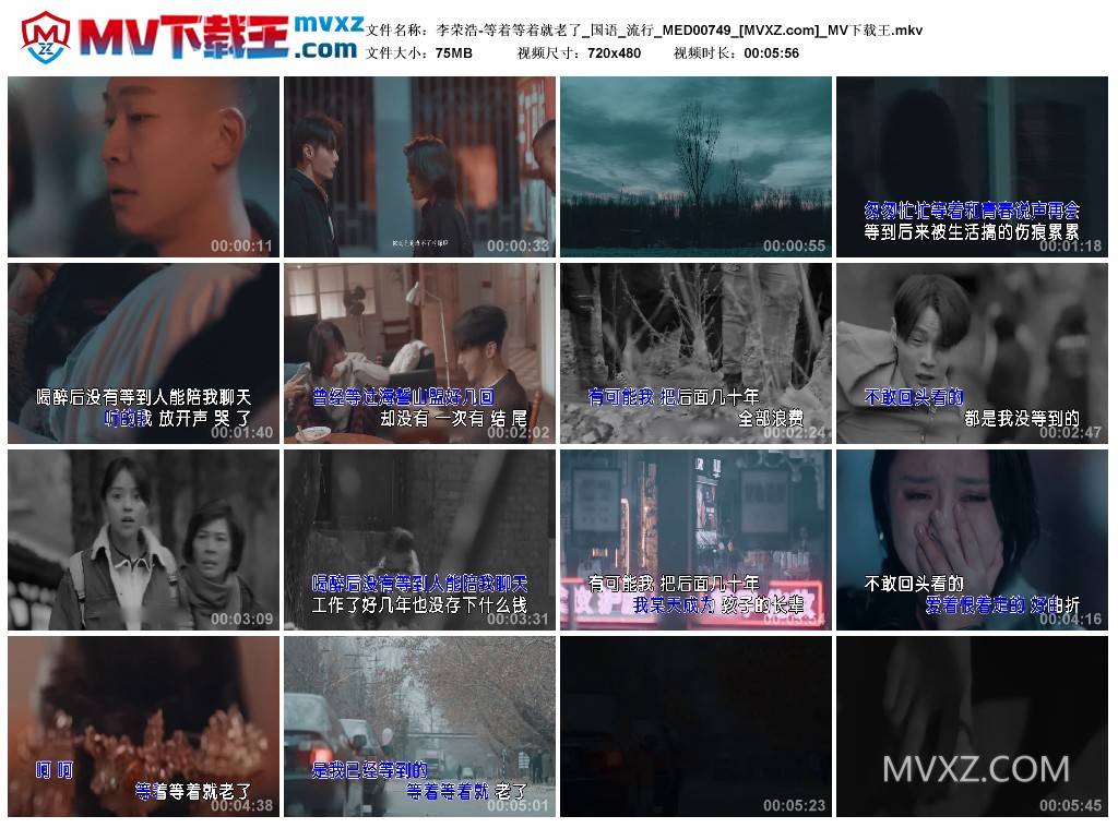 李荣浩-等着等着就老了_国语_流行_MED00749